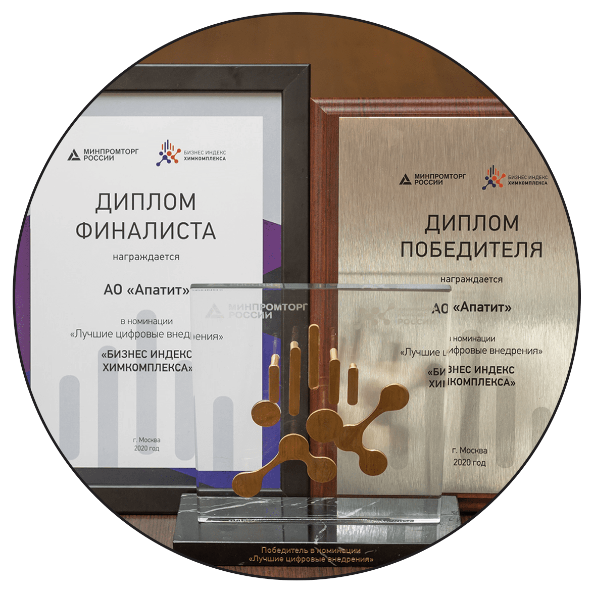 Chemical Business Index Award for Best Digital Implementation